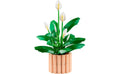 Botanicals Peace Lily | 11504