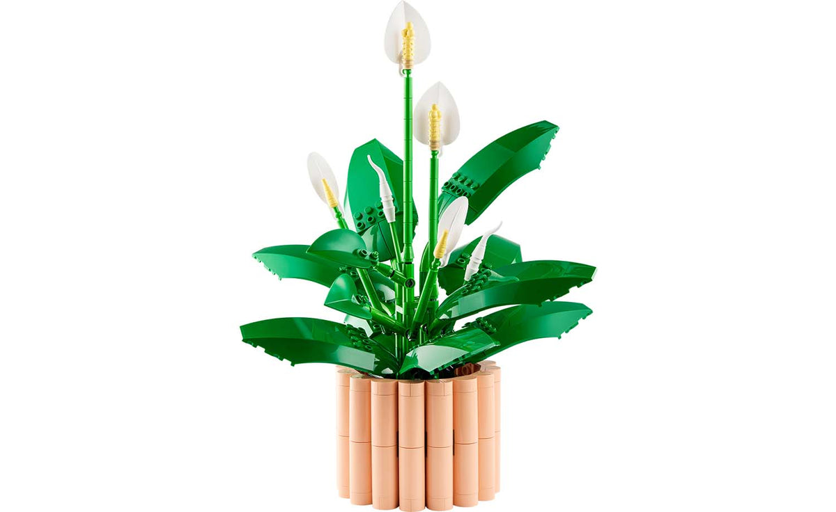 Botanicals Peace Lily | 11504