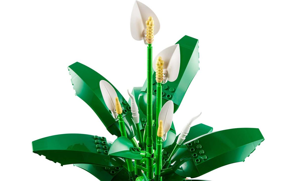 Botanicals Peace Lily | 11504