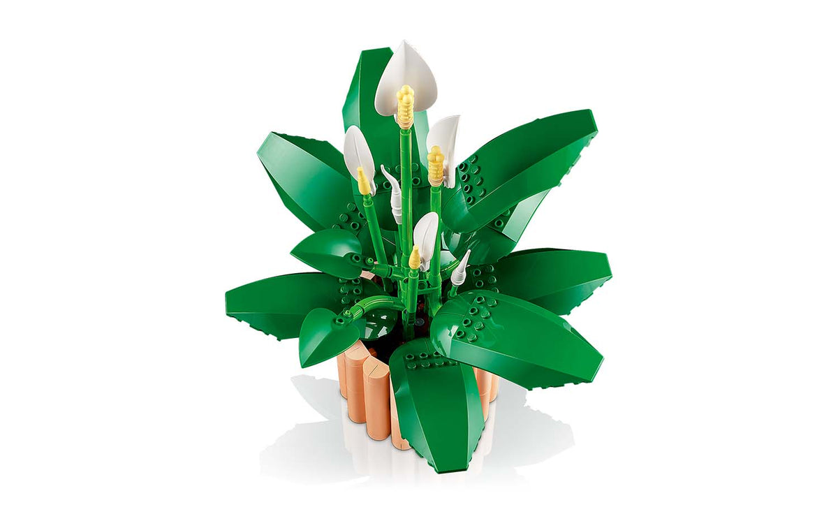 Botanicals Peace Lily | 11504