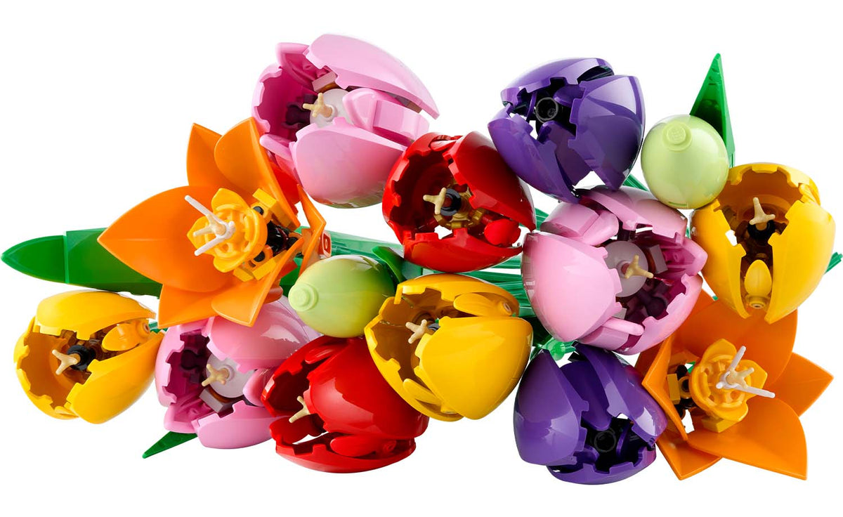 Botanicals Tulip Bouquet | 11501