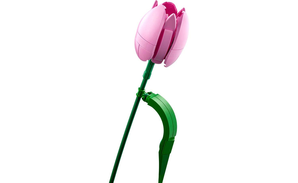 Botanicals Tulip Bouquet | 11501