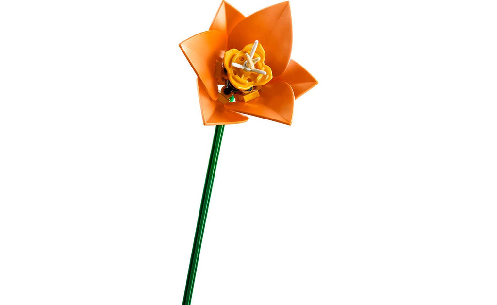 Botanicals Tulip Bouquet | 11501