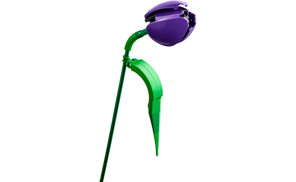 Botanicals Tulip Bouquet | 11501