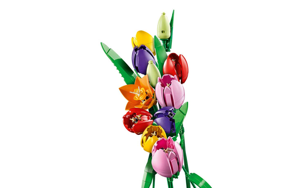 Botanicals Tulip Bouquet | 11501