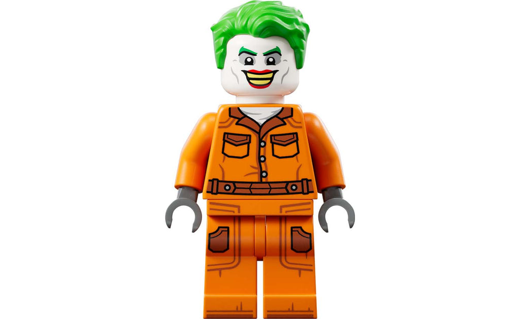 DC Arkham Asylum | 76300
