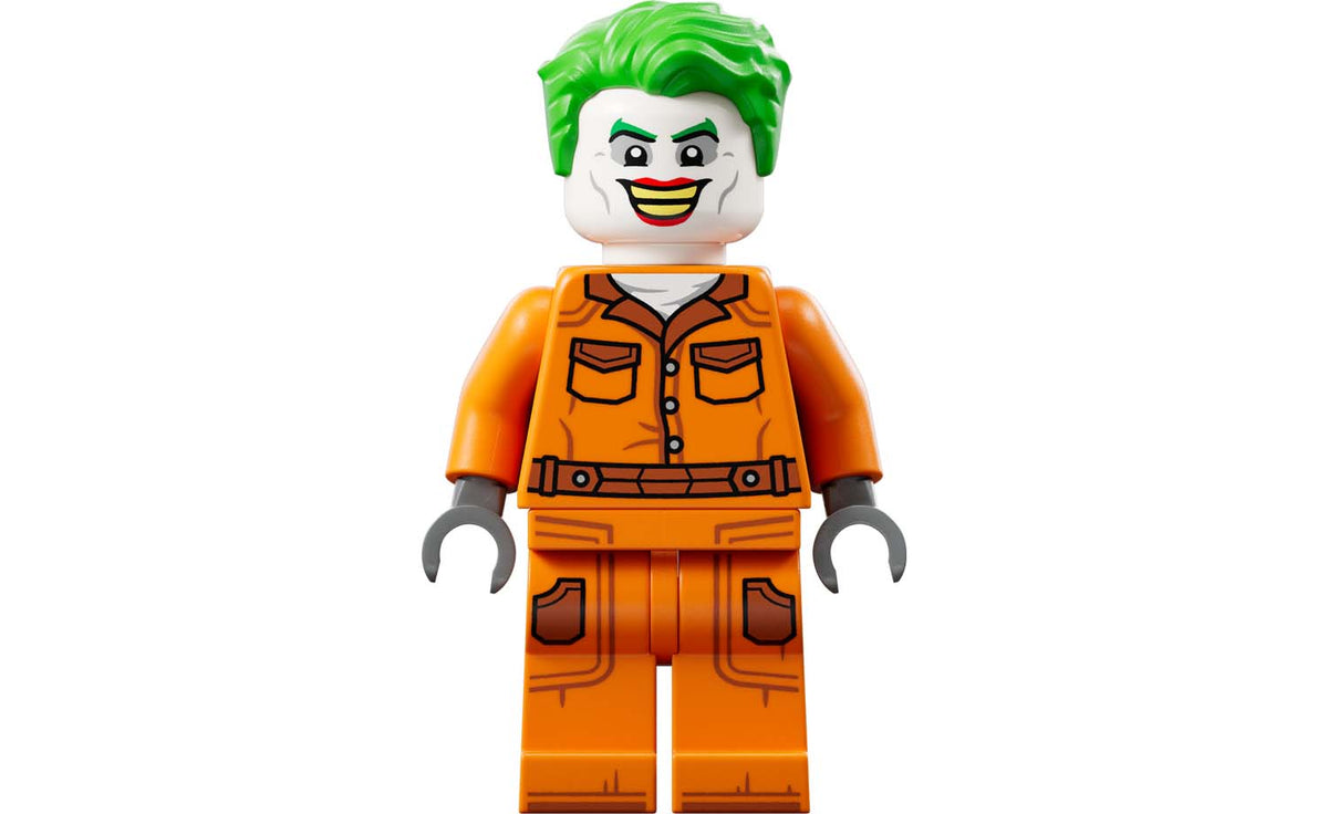 DC Arkham Asylum | 76300