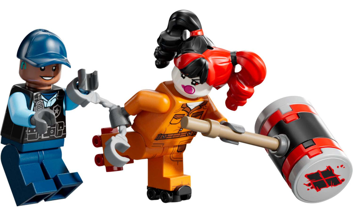 DC Arkham Asylum | 76300