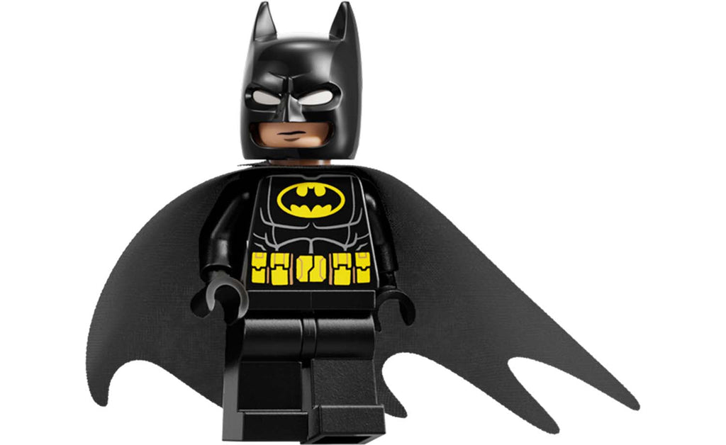 DC Arkham Asylum | 76300