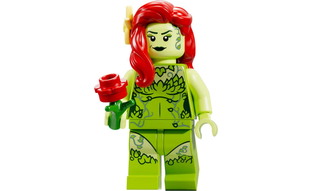 DC Arkham Asylum | 76300