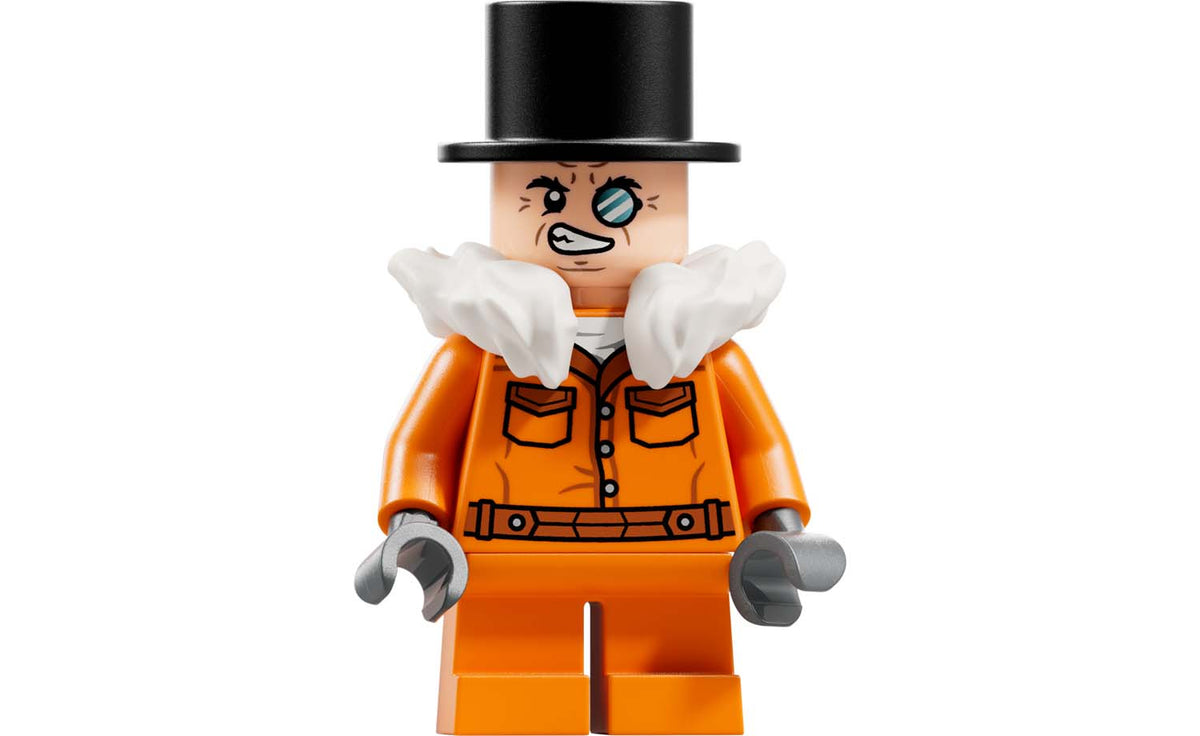 DC Arkham Asylum | 76300