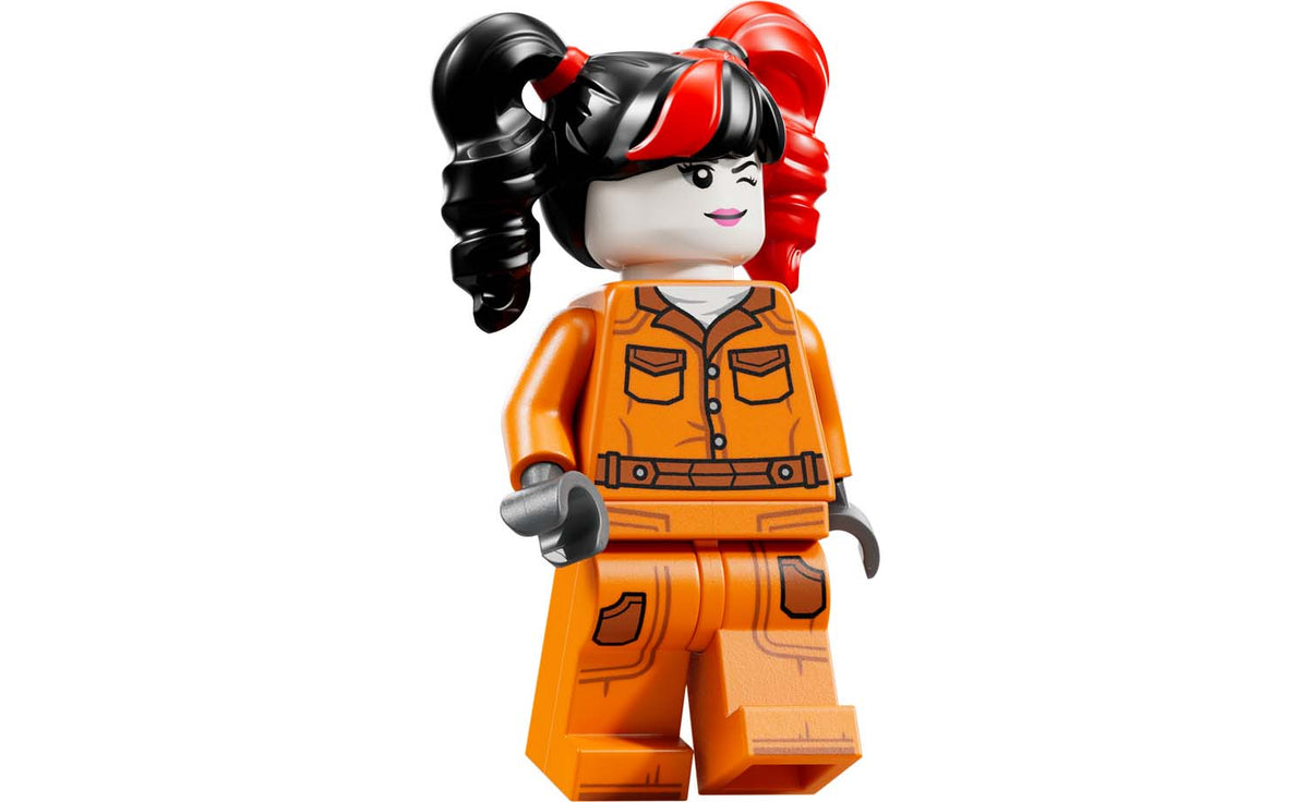 DC Arkham Asylum | 76300