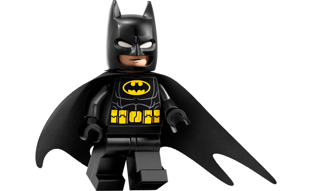 DC Arkham Asylum | 76300