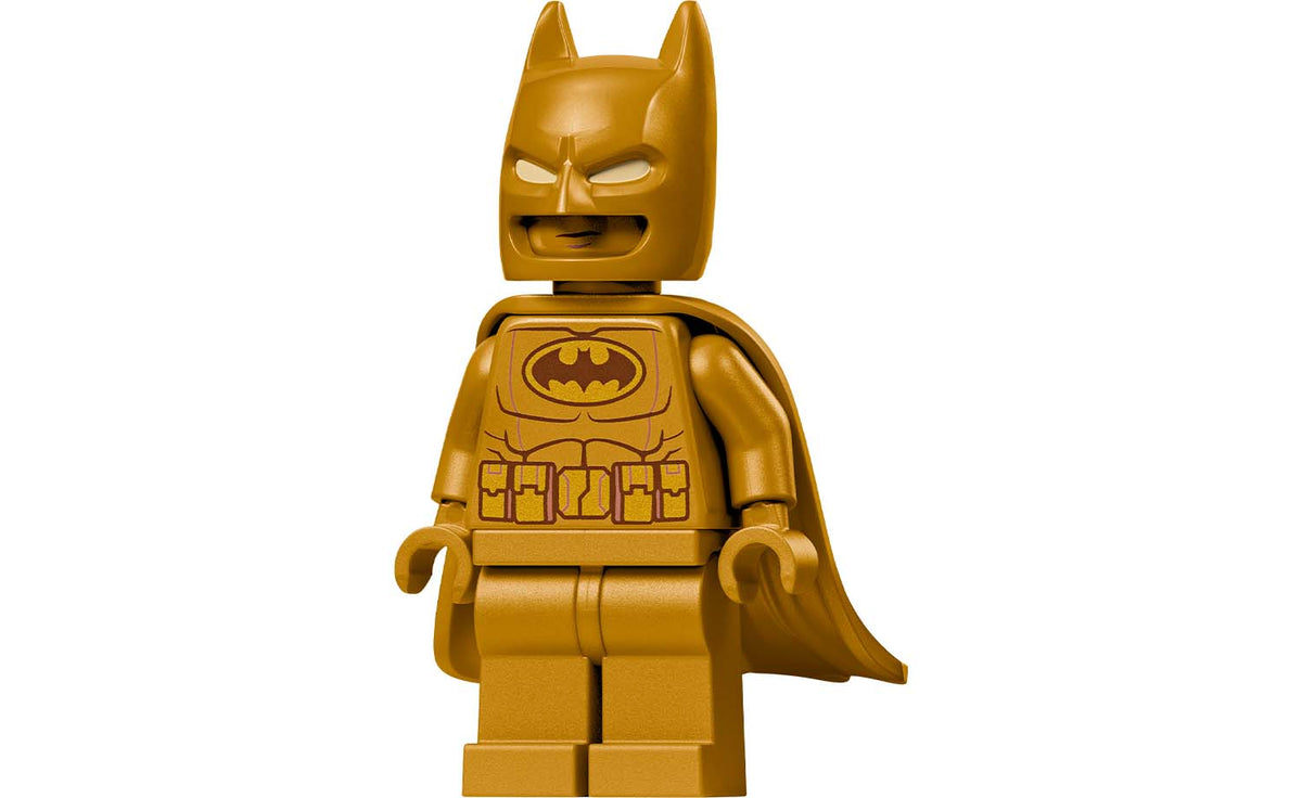 DC Batman Logo | 76330