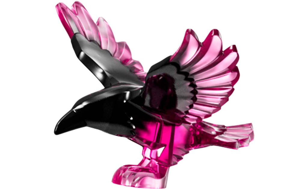 DREAMZzz The Never Witch's Midnight Raven | 71478