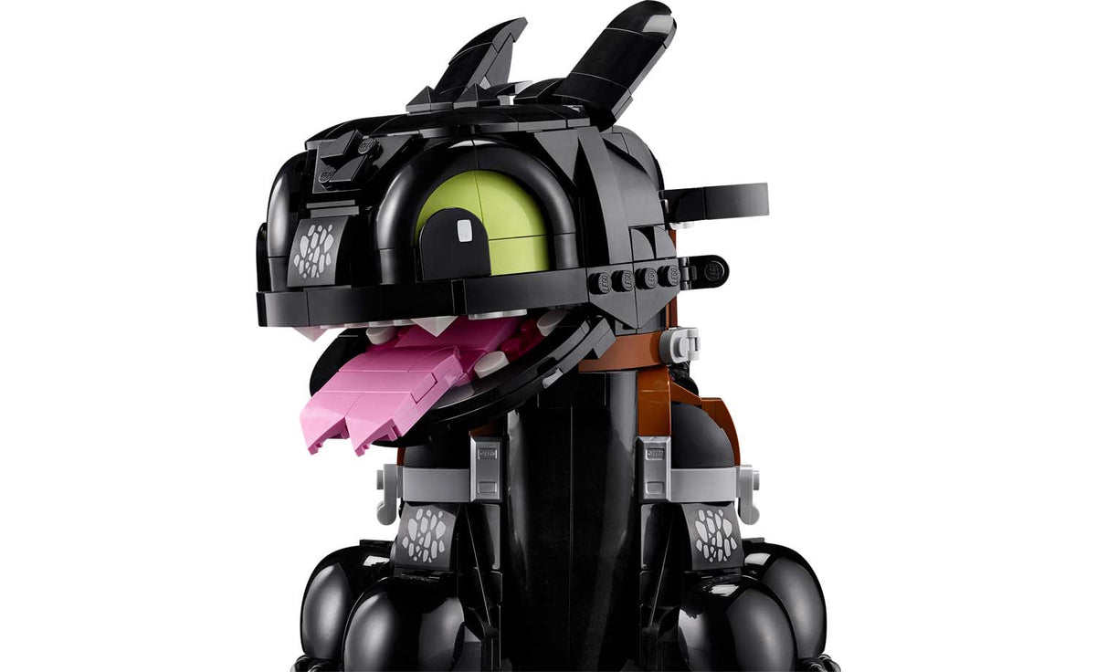 Icons How to Train Your Dragon: Toothless | 10375