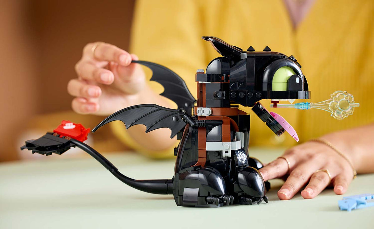 Icons How to Train Your Dragon: Toothless | 10375