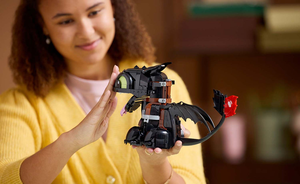 Icons How to Train Your Dragon: Toothless | 10375