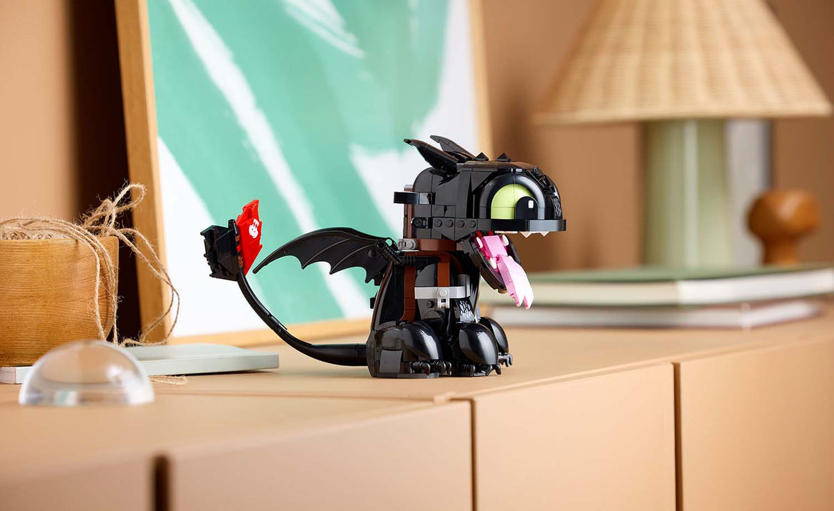 Icons How to Train Your Dragon: Toothless | 10375