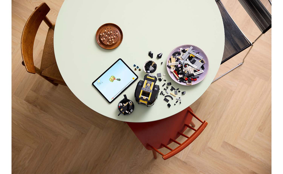 Ideas Tuxedo Cat | 21349