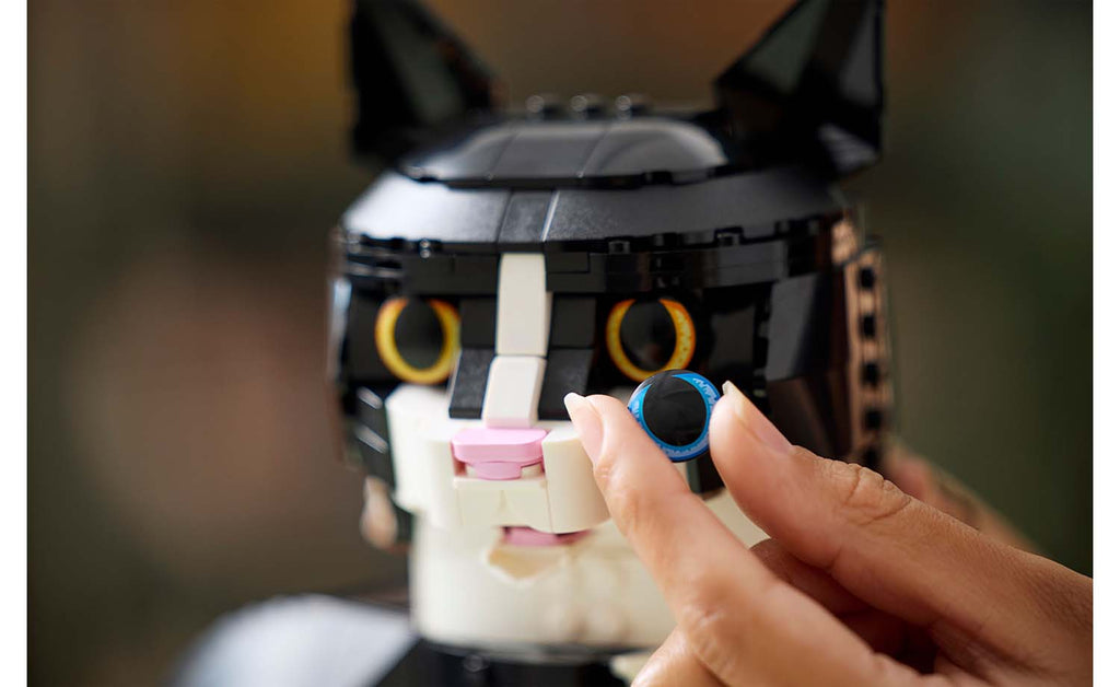 Ideas Tuxedo Cat | 21349