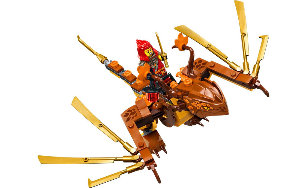 NINJAGO Tournament Temple City | 71814